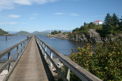 Nootka Trail Friendly Cove dock