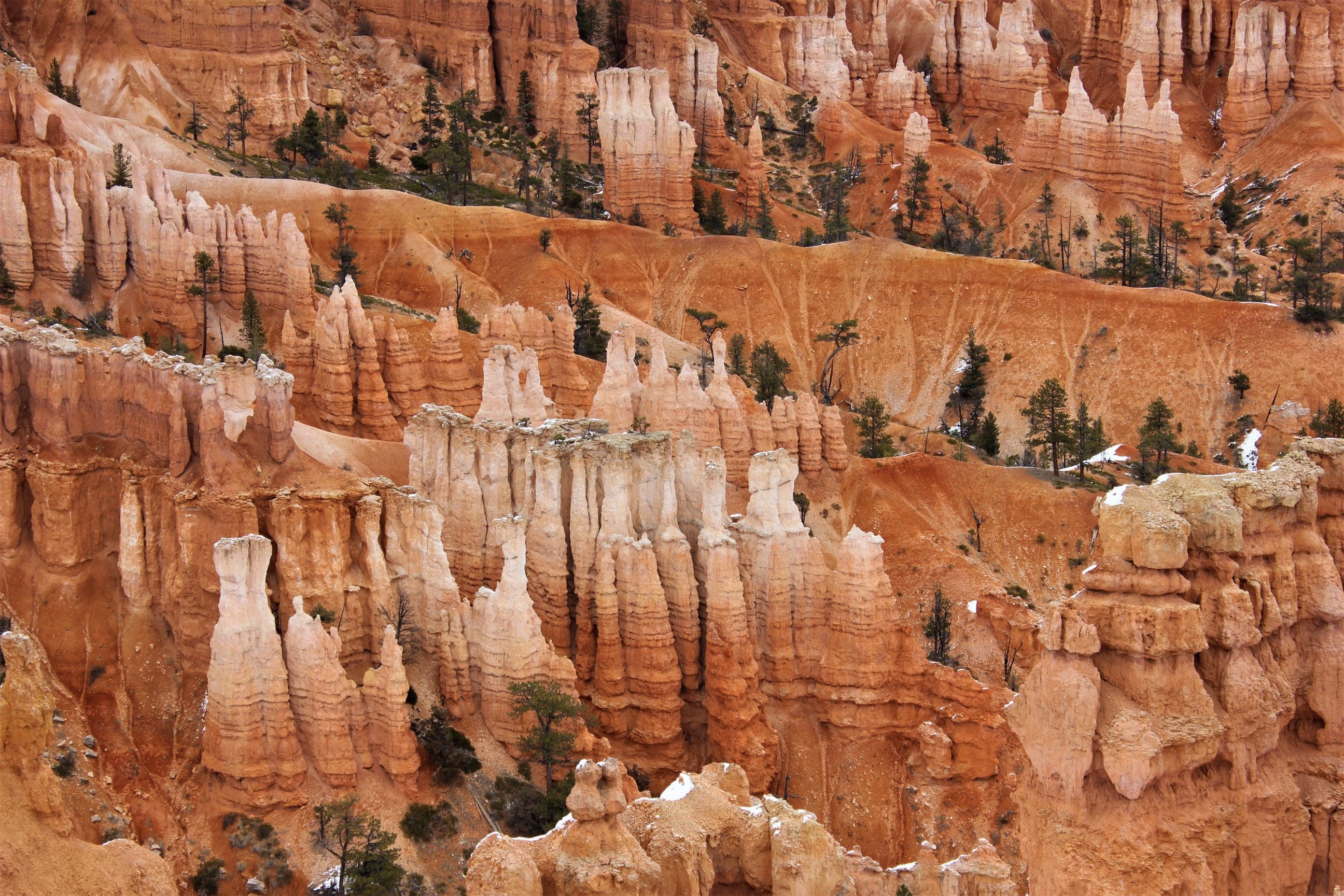 camera strap, camera wrist strap, sunglass straps, outdoor gear, camera equipment, hikes in bryce canyon, best hikes in bryce canyon, hiking bryce canyon, backpacking bryce canyon 