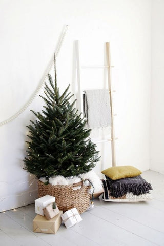 Christmas tree in a basket with cushions and presents on the floor