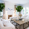 Crisp white living room brought to life with two vibrant green indoor pot plants.