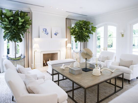 Crisp white living room brought to life with two vibrant green indoor pot plants.