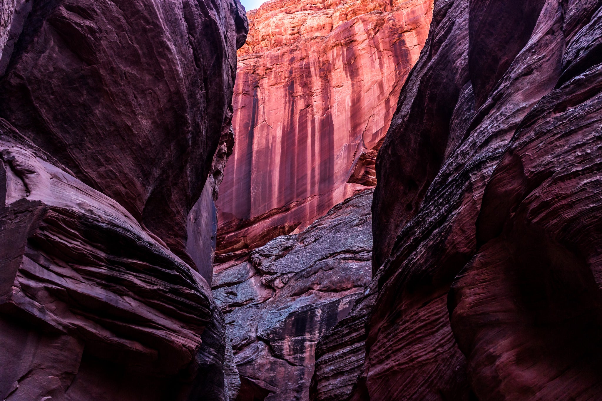 are dogs allowed in paria canyon