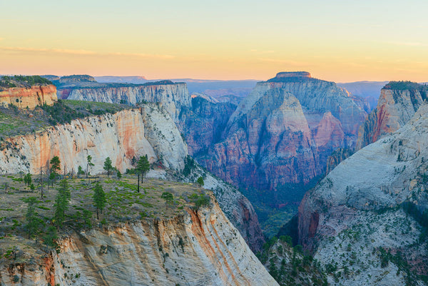 Trans-Zion Trek