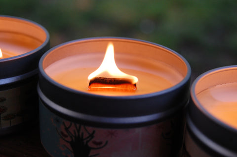 Timber Wood Wick Candles Soy from Chickenmash Farm