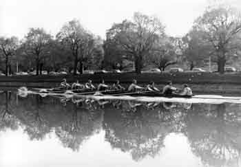 rowing on the Yarra