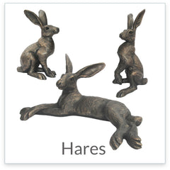 Go to Suzie Marsh's Hare collection