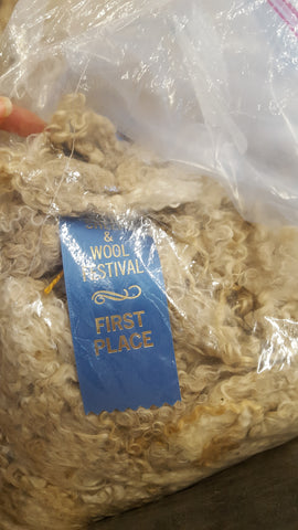 First Place Mohair Rhinebeck 2017 Fleece Sale