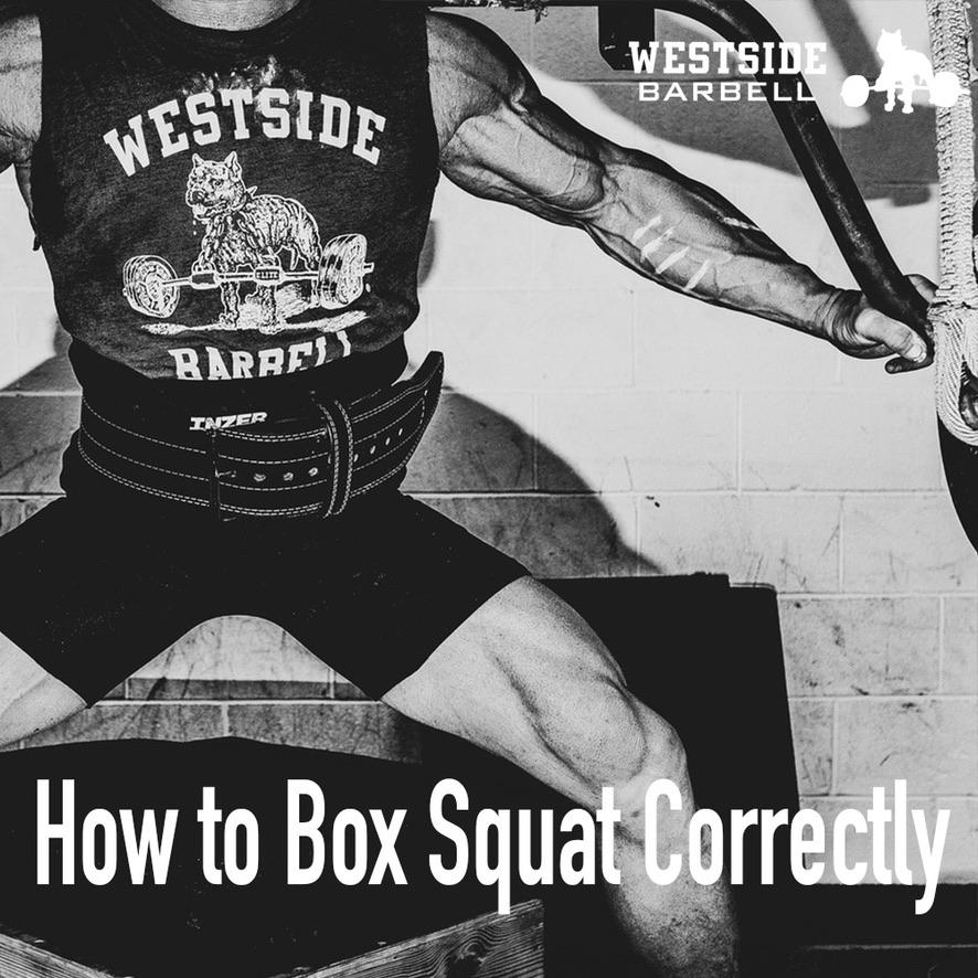 Box Squat Correctly – Westside Barbell