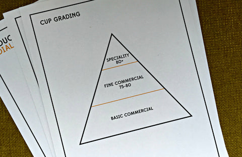 Cup Grading