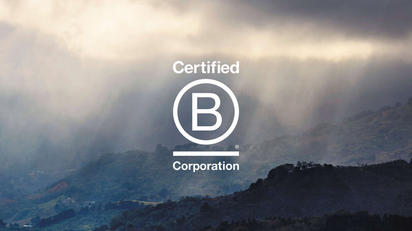 B Corp logo with Colombian mountain range in the background