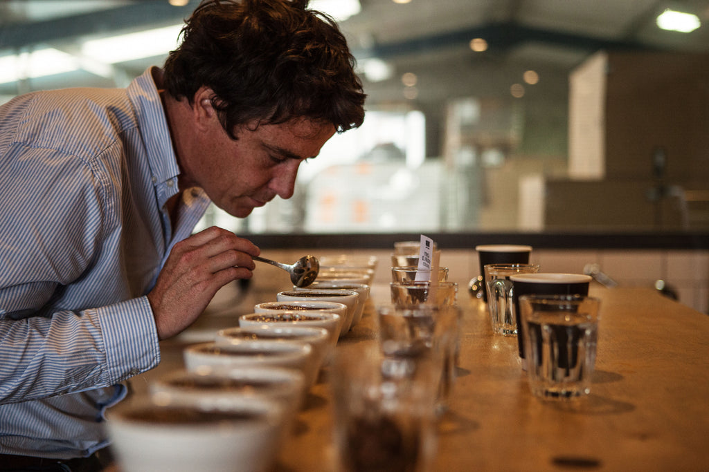 Tom Sobey cupping