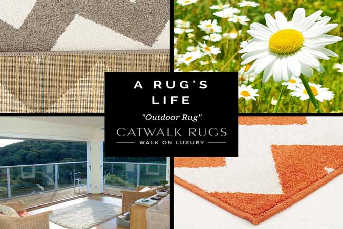 Outdoor rug collage