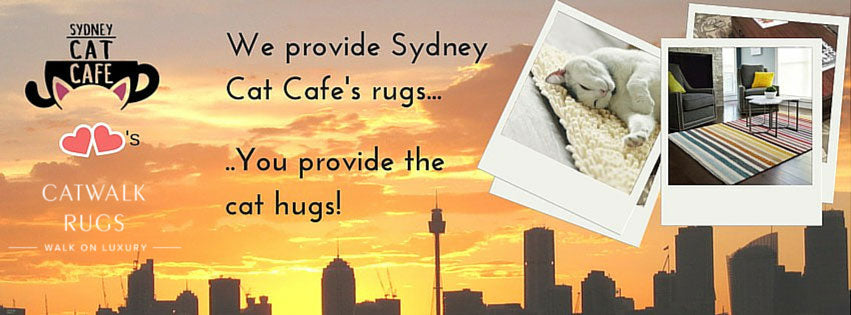 Sydney Cat Cafe