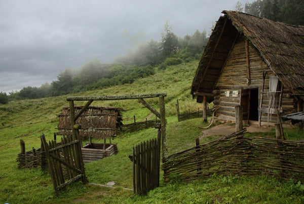old european hut
