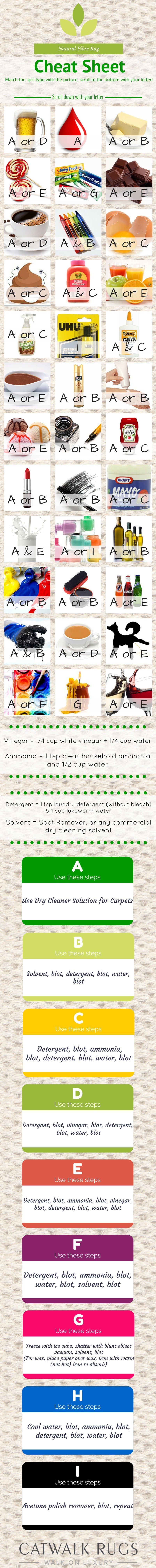Jute Rug Cleaning Guide Infographic