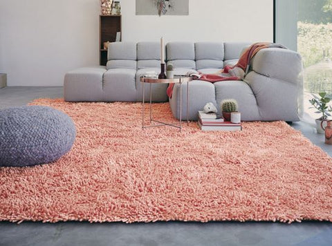 pink shag rug