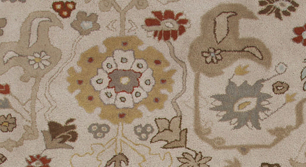 Brown transitional rug floral