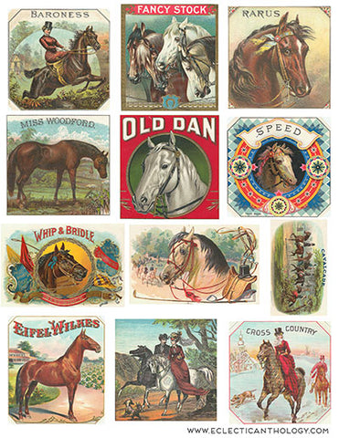 Free Vintage Horse Cigar Label Graphics