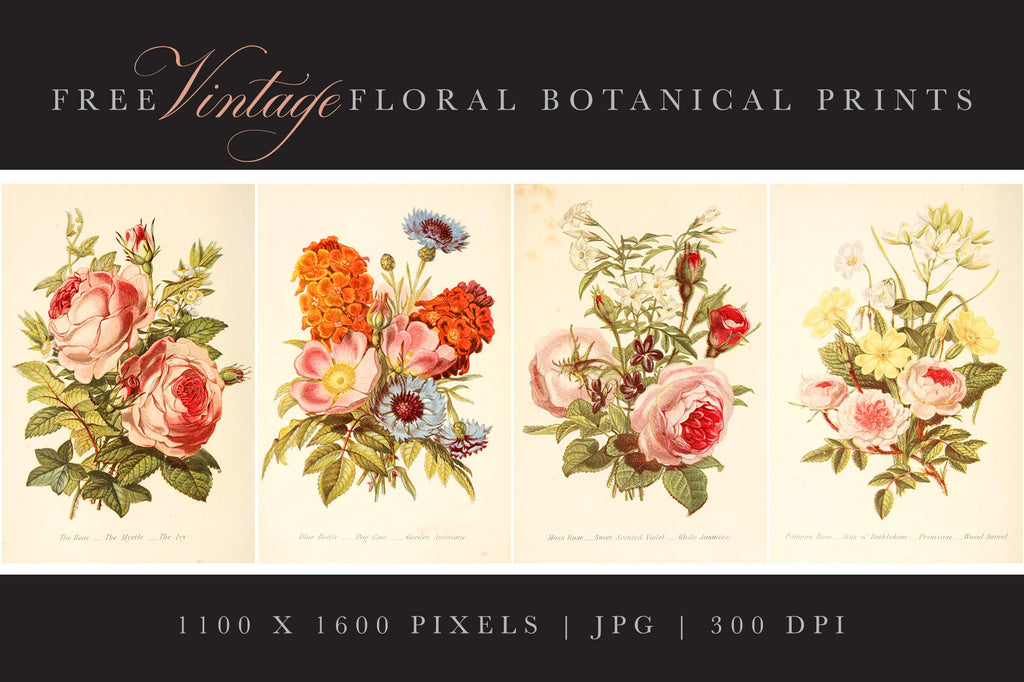 Free Vintage Botanical Prints
