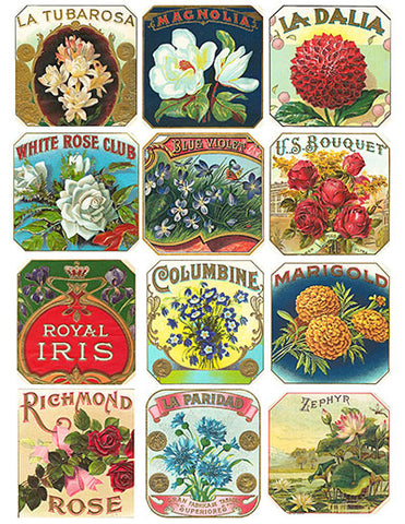 Free Vintage Floral Cigar Label Graphics