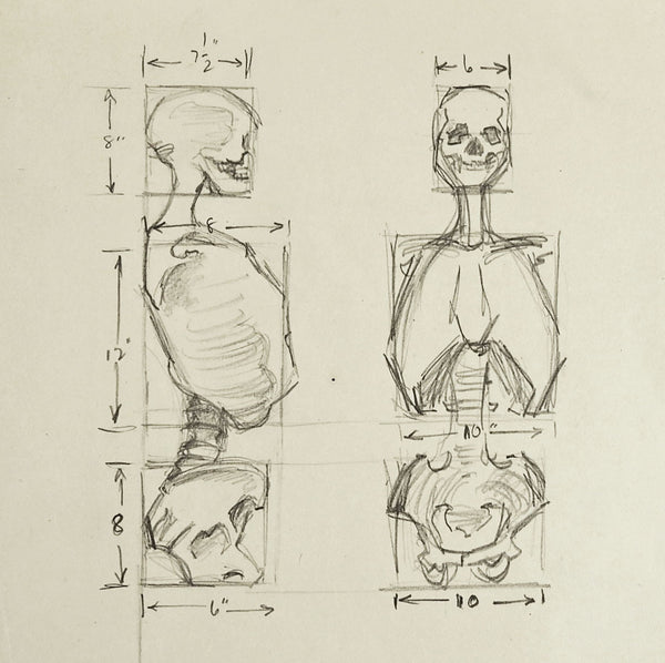 Anatomy Skeleton Study Drawing – Artifax antiques & design