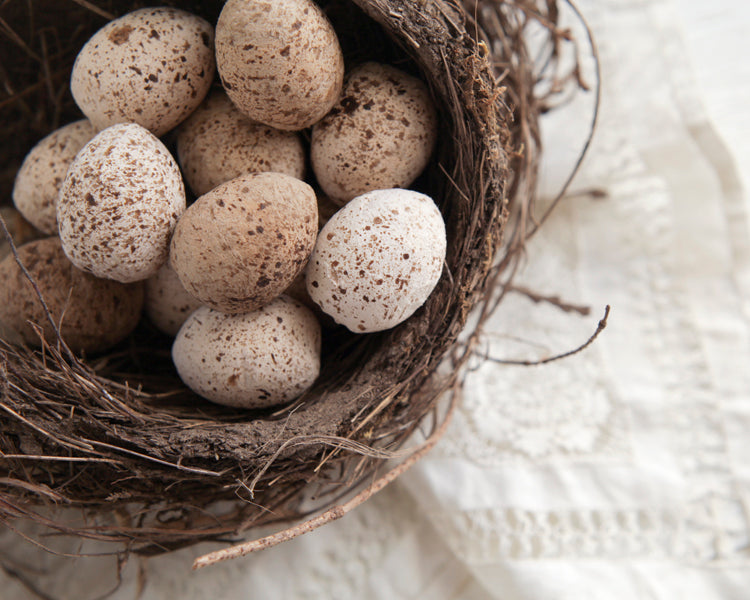 Tutorial: Spun Cotton Quail Eggs