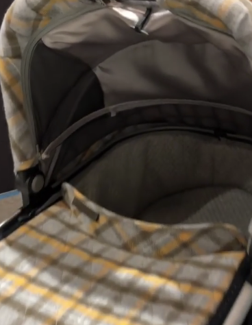 Uppababy Vista 2019 Release Date