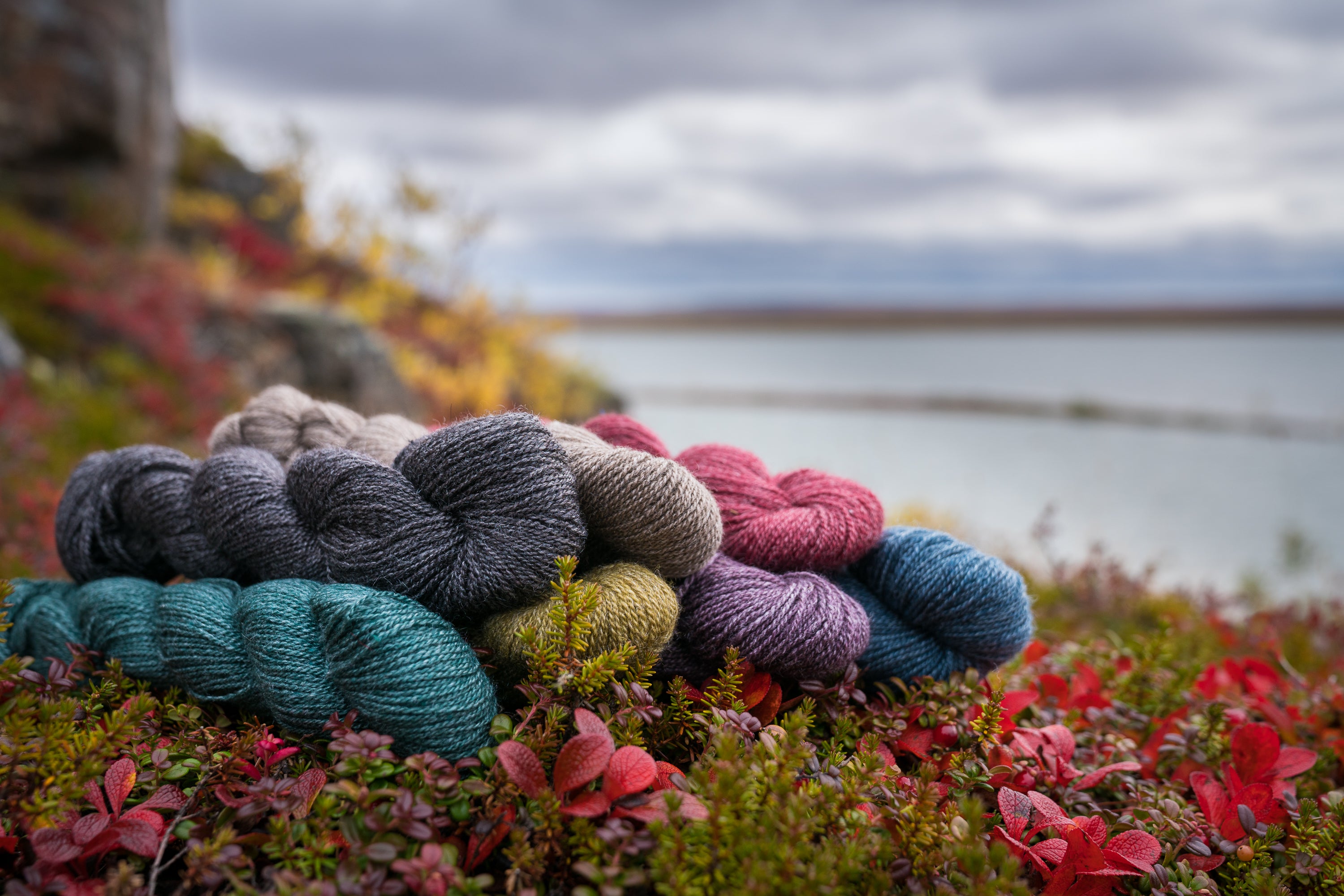 50% Qiviut: 50% Silk Lace Yarn in the Fall Tundra Colours (Credit: DNV Photo)