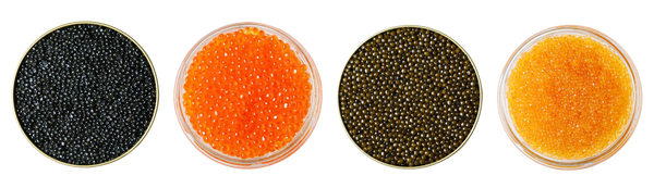 Different caviar flavours