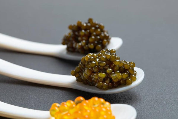 Different types of caviar