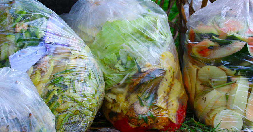 Bagged food waste