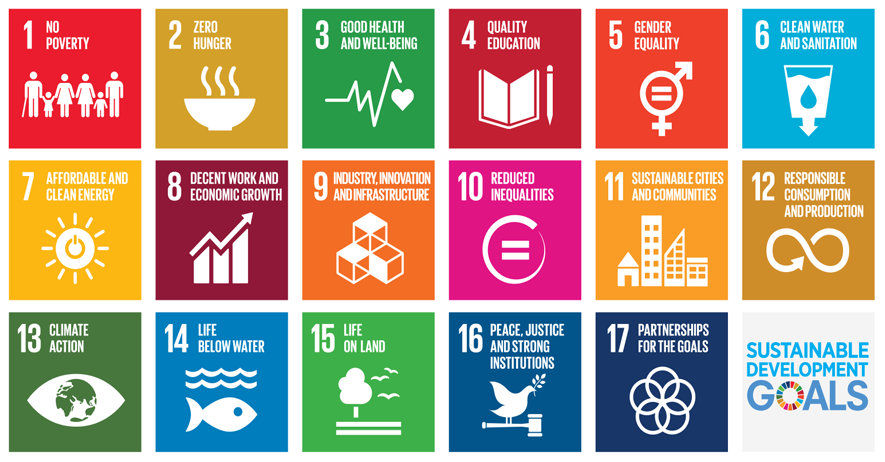 Sustainable development goals SDGs