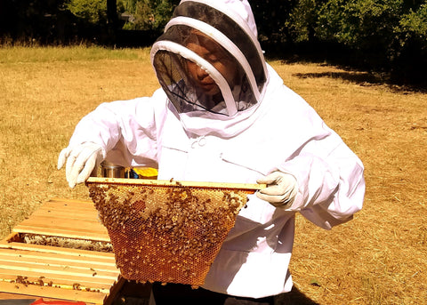 Backyard beekeeping hobby is eco-friendly and healthy for people and planet.