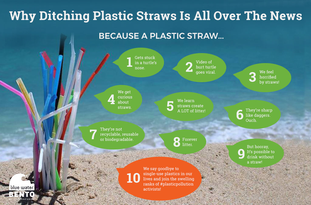 How Did Plastic-Free Reusable Straw Movement Start?