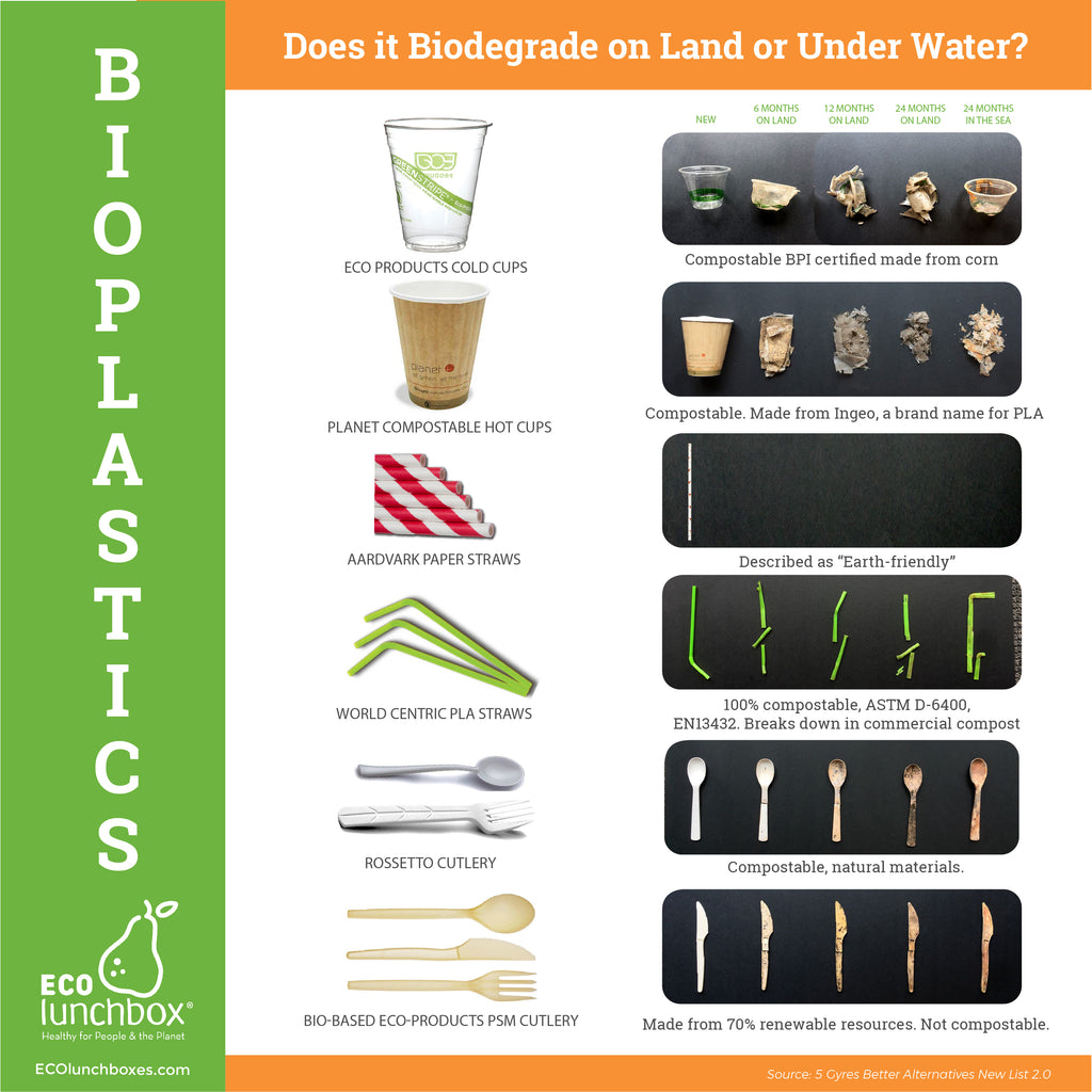 limitations of bioplastics infographic