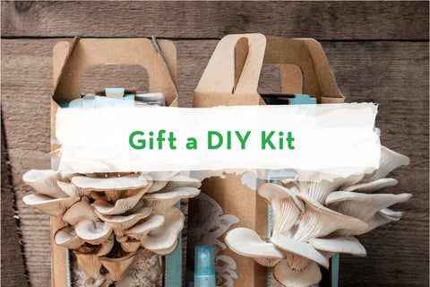Gift A DIY Kit