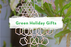 Green Holiday Gifts