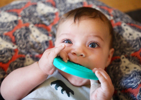 Family safe silicone lunch containers.