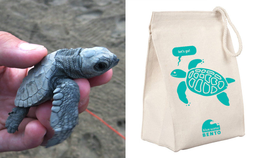 Sea Turtle Bag