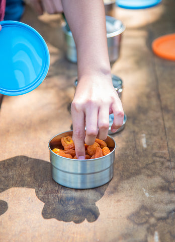 Plastic-free stainless steel picnic food containers by ECOlunchbox