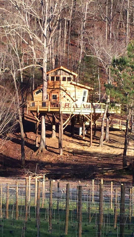 Blue Ridge Treehouse