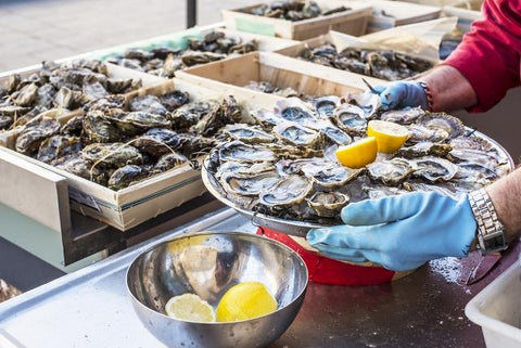 Oysters in Bordeaux, France