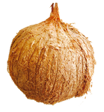 Flora Corona Coconut