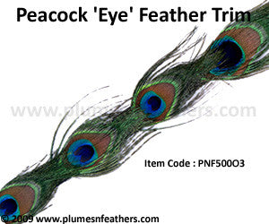 Peacock ‘Eye’ Feather Trim II