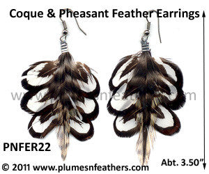 Feather Earrings PNFER22