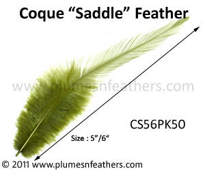 Bleached White Or Dyed Loose Saddle Feathers +5" 50Pcs