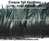 Dyed Black Strung Coque Tails 8"/10" ½ Oz. Pack