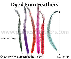 Emu Feather Hair Extensions Dyed 6”/8” 20 Pc.