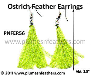 Feather Earrings PNFER56