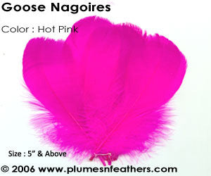 Goose Nagoires Strung Dyed 5" & Above ½ Oz